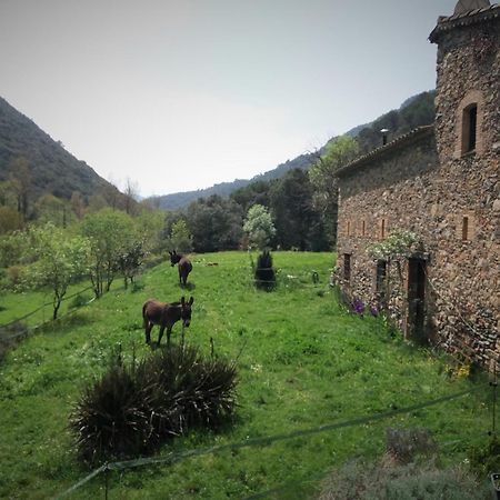 Albergue Casanova de Sant Miquel Aiguafreda Extérieur photo