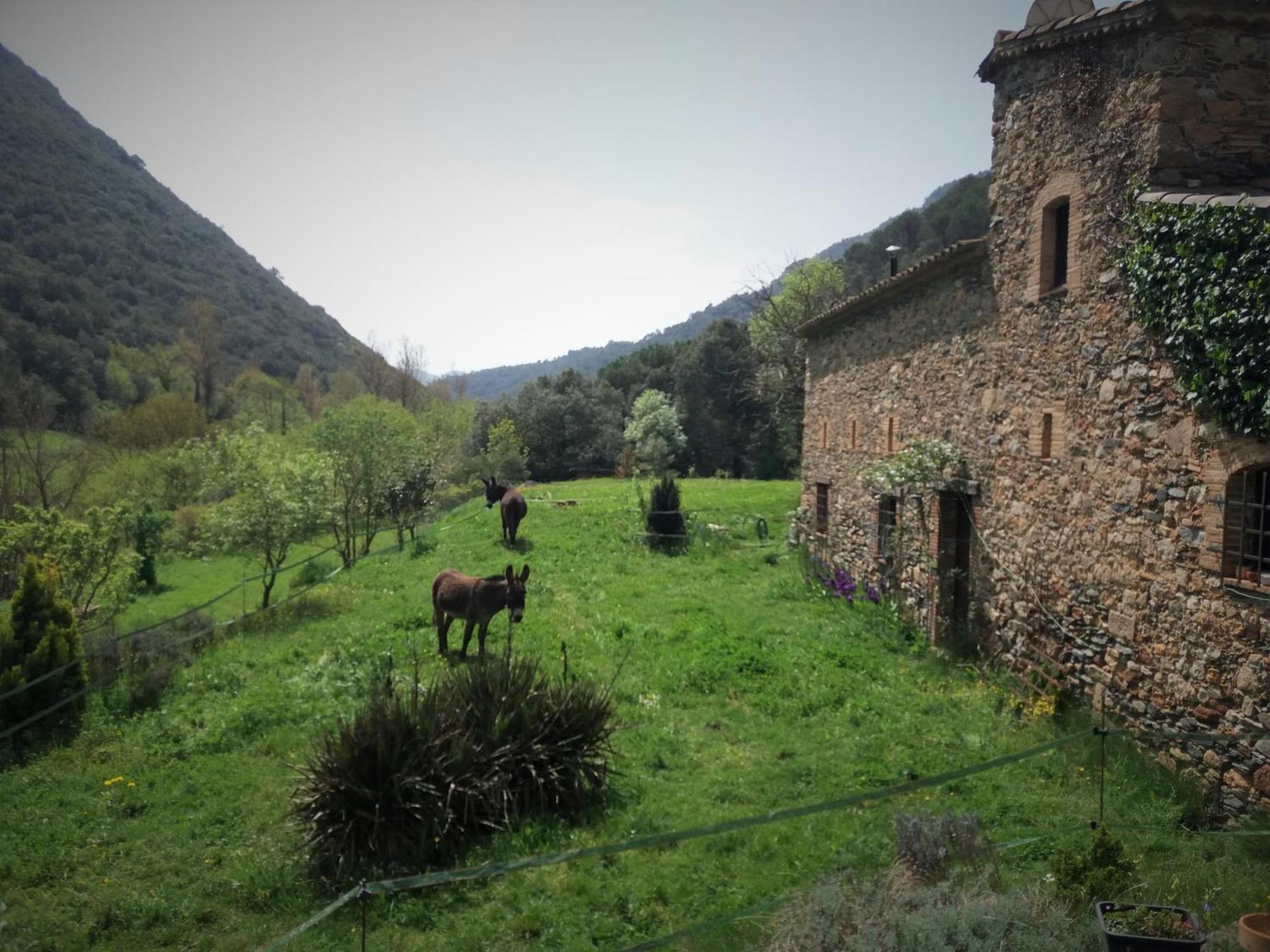 Albergue Casanova de Sant Miquel Aiguafreda Extérieur photo